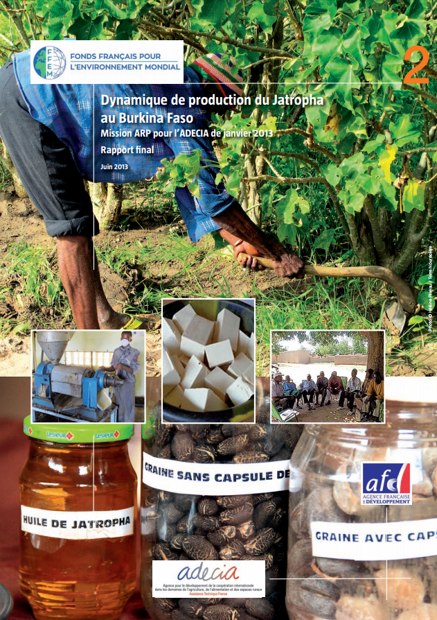 Etude ADECIA sur les dynamiques de production du Jatropha au Burkina Faso