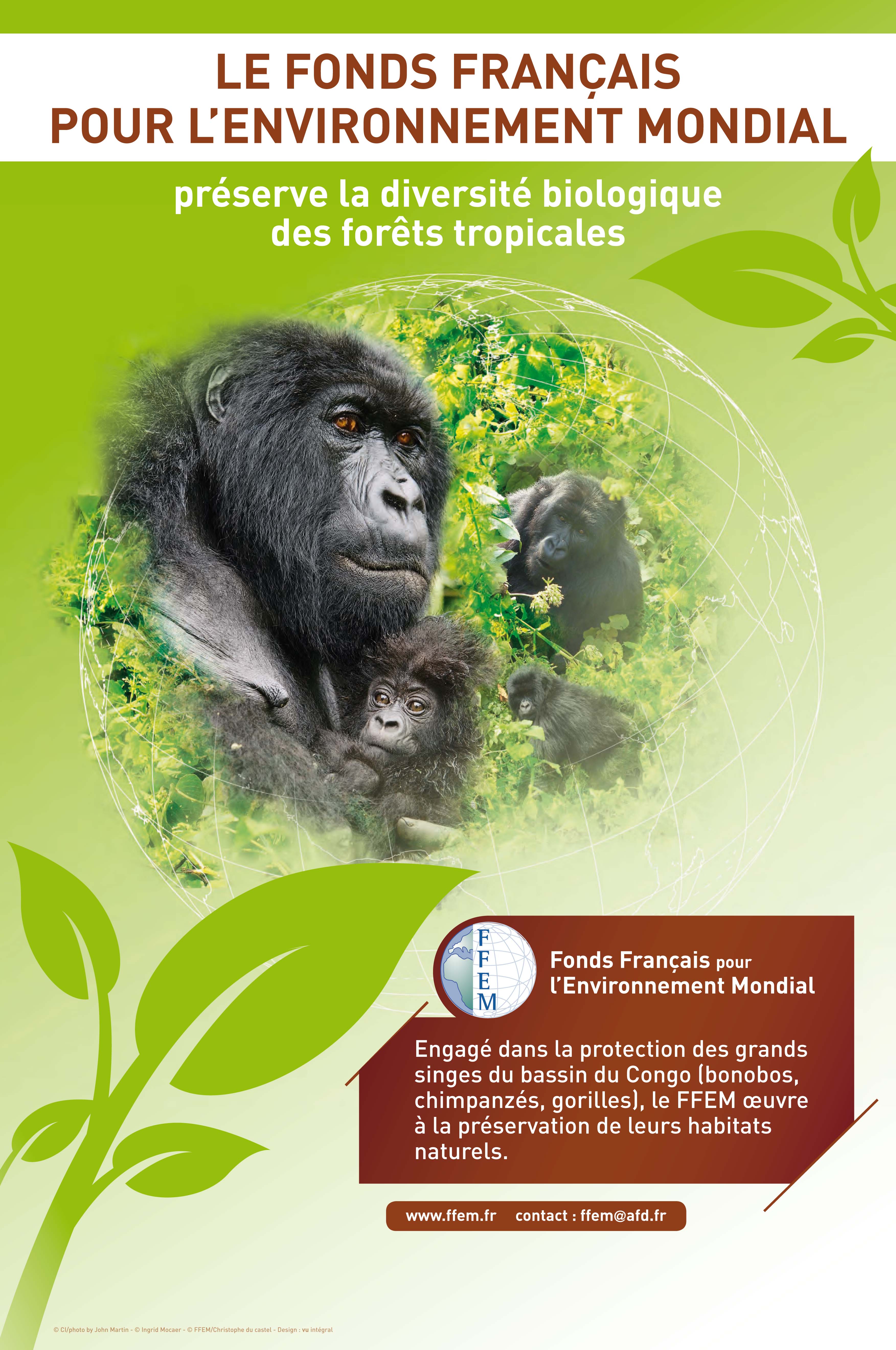 Affiche_ffemGorilles