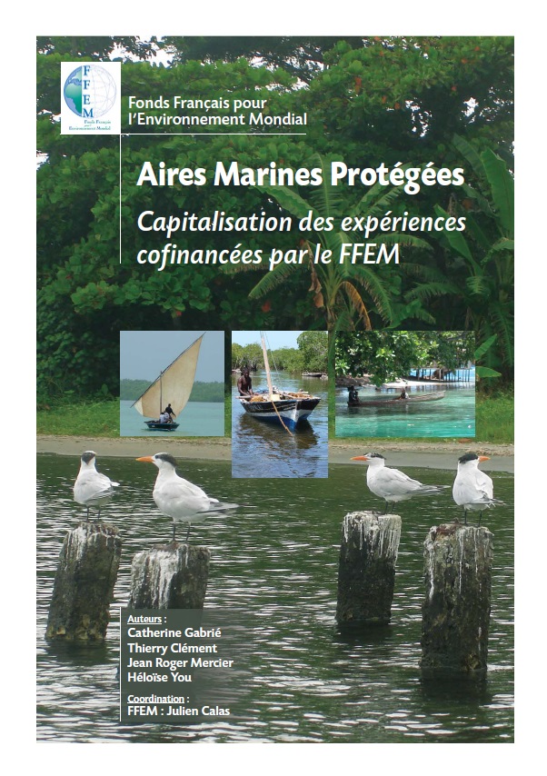 Couv AMP_Resume_executif