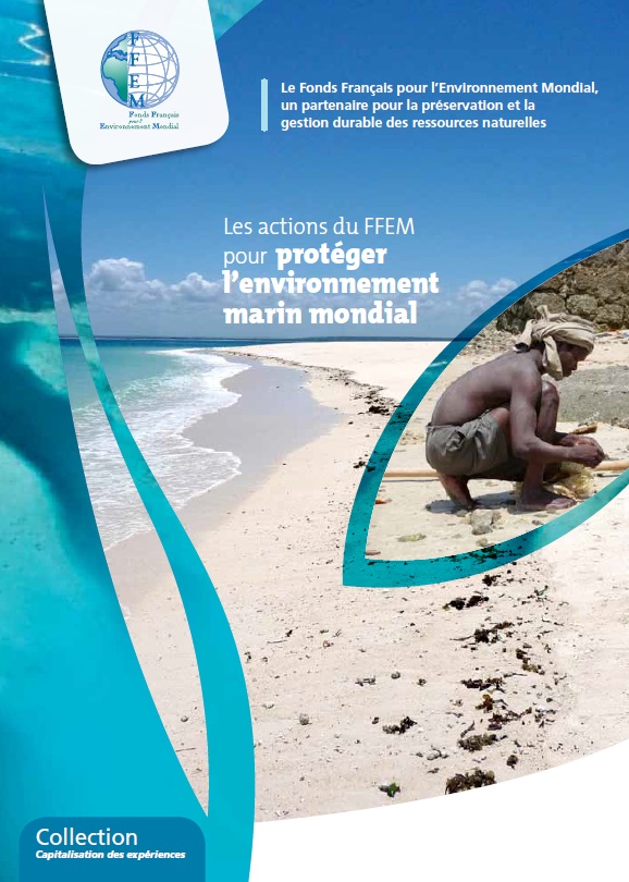 Couv Capitalisation AMP_FFEM 092013
