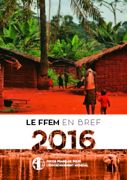 Le FFEM en Bref 2016