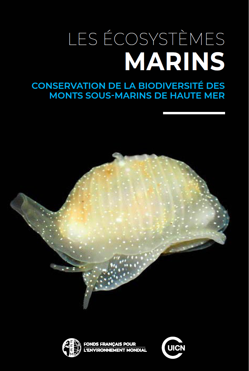 Guide FFEM sur la haute mer et les monts sous-marins