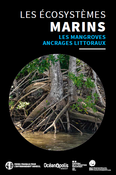 Nouveau guide sur les mangroves