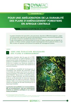 Recommandations décideurs_Dynafac