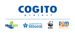 Visuel résumé évaluation COGITO