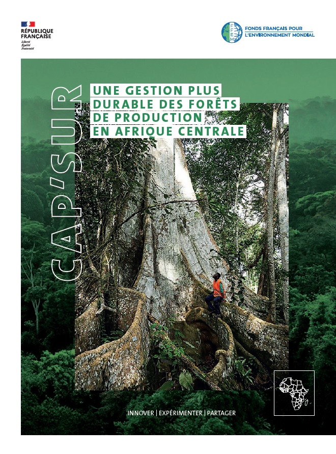 Capitalisation sur une gestion plus durable des forêts de production en Afrique centrale