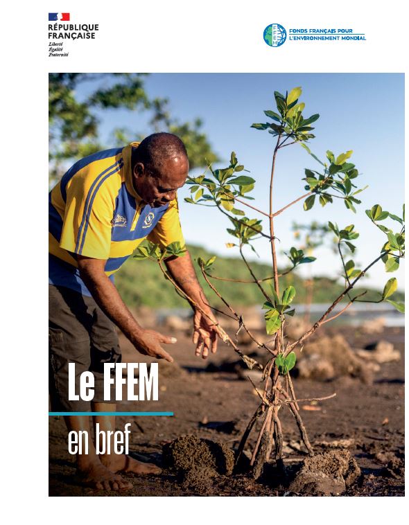 Le FFEM en bref 