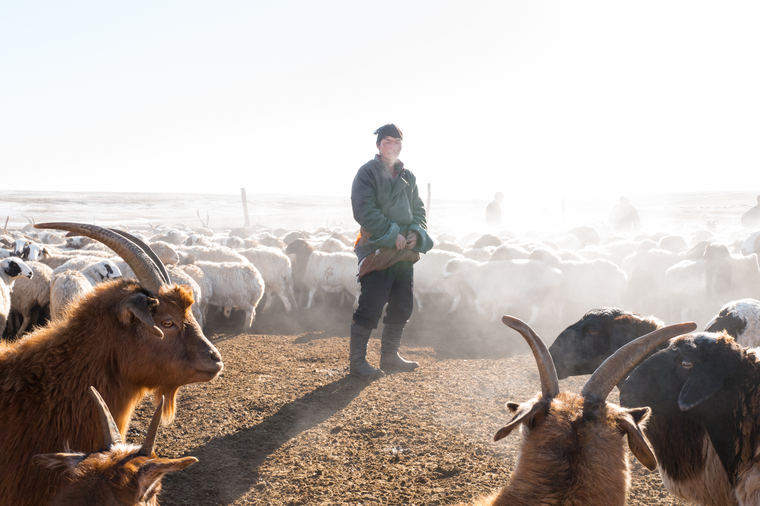 Mongolie - reportage Regis Defurnaux 2024