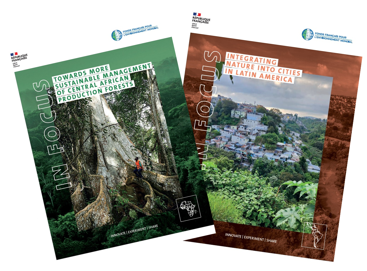 capitalization Forest & nature into cities