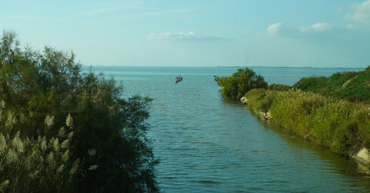 Camargue, France © IUCN Med