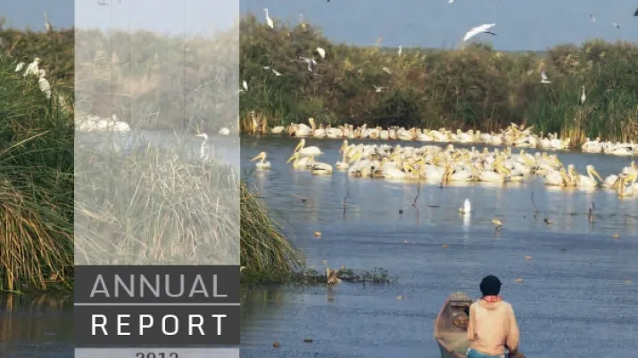 FFEM Annual Report 2013