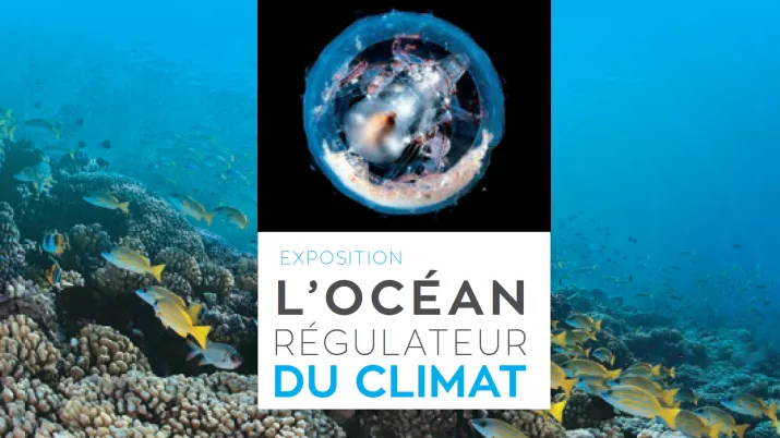 GIZLM-affiche-expo-ocean-regulateur-climat