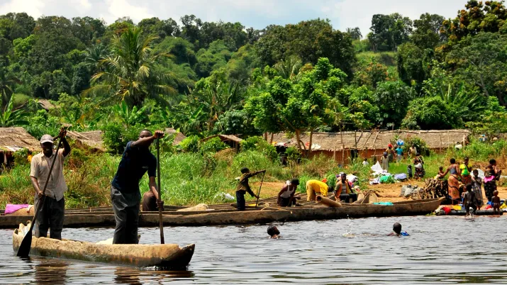 RDC, Forêts