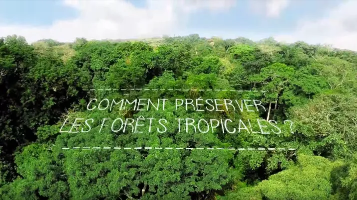 Visuel du film Comment préserver les forêts tropicales ?