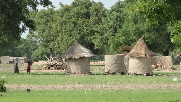 2014-Burkina ACFAO © Didier Simon, FFEM (53)