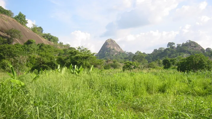 BENIN agriculture- projet CBJ 1125-GALANDRIN Jean-Claude AFD (2)