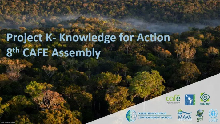 Visuel Project K- Knowledge for Action