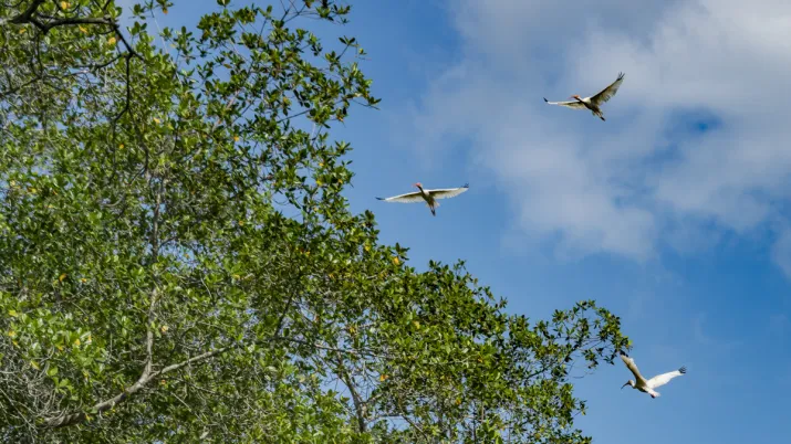 Costa Rica
