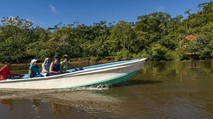 costa-rica mangroves-alexis rosenfeld