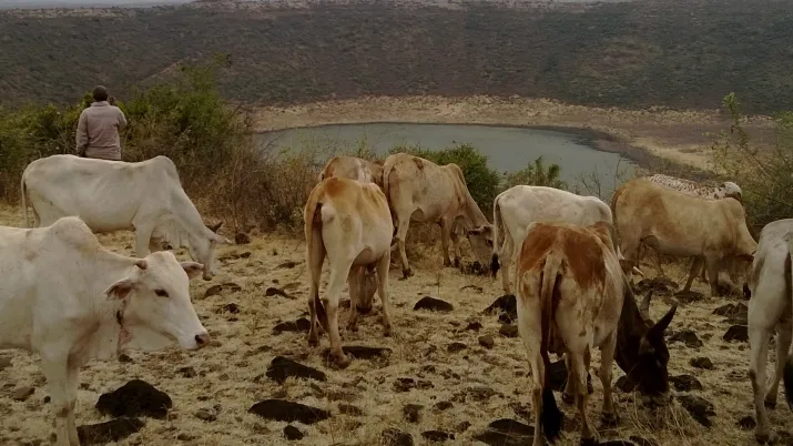 Marsabit Kenya