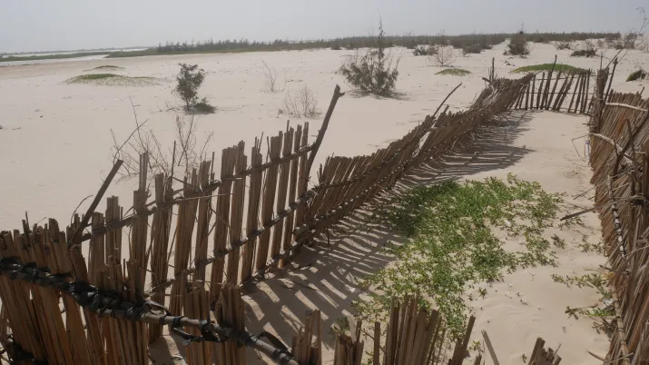 © Céline Damery, Conservatoire du littoral 2019