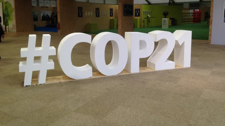Anniversary of the Paris Agreement: focus on the ACT-DDP project
