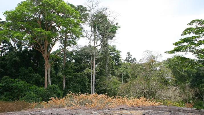 The FoFauPopU project featured on “La Terre au Carré”