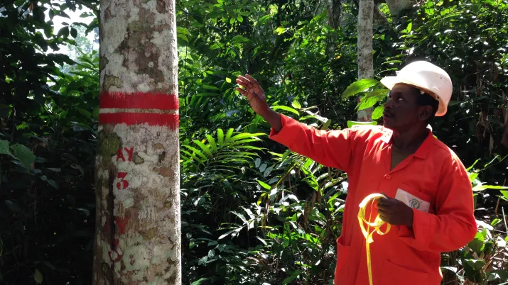 Projet Dynafac forêts d'Afrique centrale