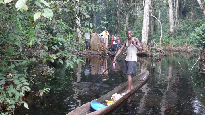 Forêt Bassin du Congo