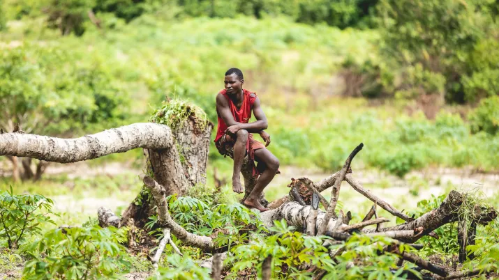 Mettre en pratique la compensation écologique pour concilier développement et biodiversité