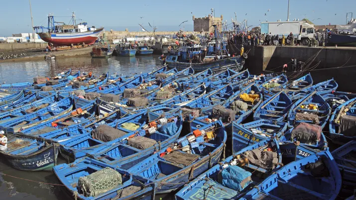 Maroc_Essaouira le port_88D4735 © FFEM.jpg