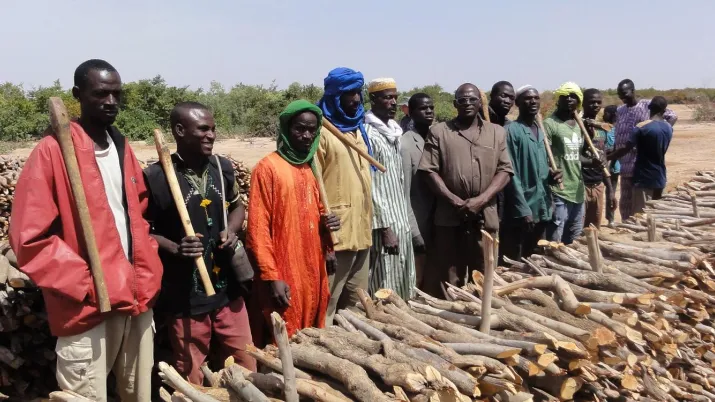 BucheronsMarchéRuralBellaréNiger