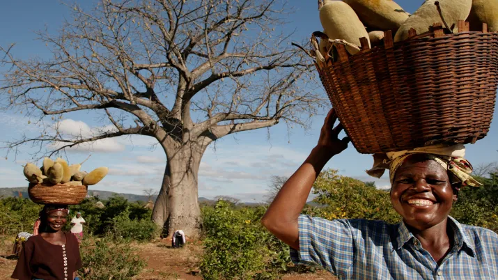 Projet Phytotrade _ Cueillette_ Namibie