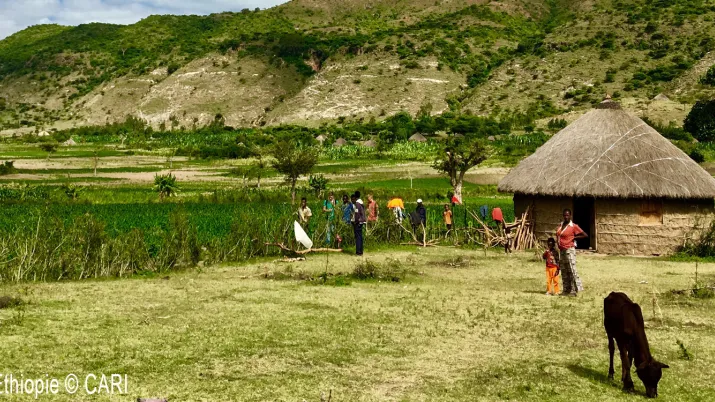 Paysage d'Ethiopie - Projet AVACLIM - CARI