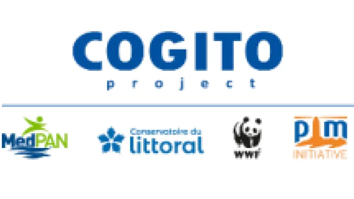 Visuel résumé évaluation COGITO