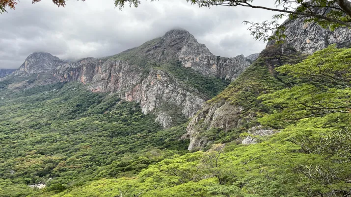 Mozambique_CMZ1157_Chimanimani
