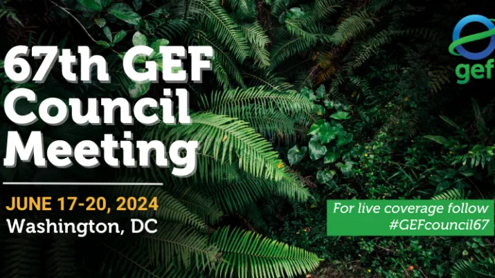 GEF Council Meeting