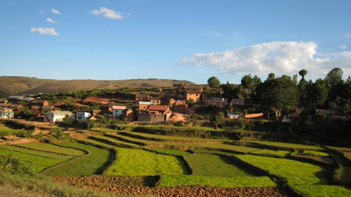 Madagascar paysage