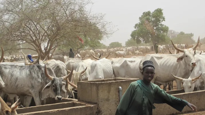 Lutte contre la désertification par l’appui au pastoralisme dans le Ferlo