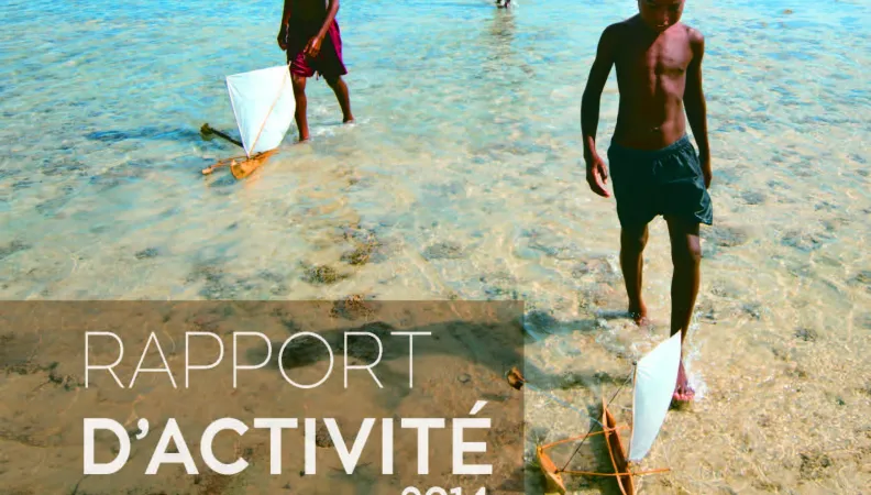 Couv Rapport annuel 2014