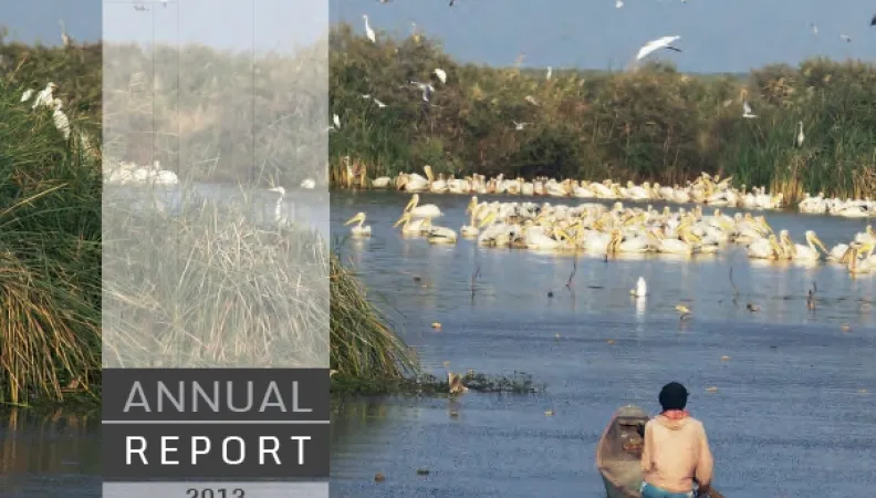 FFEM Annual Report 2013
