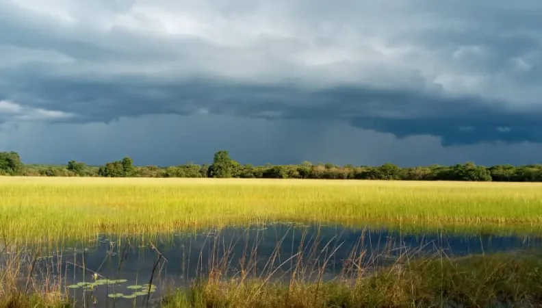 Une gestion et des financements innovants pour la biodiversité du Grand Bangweulu
