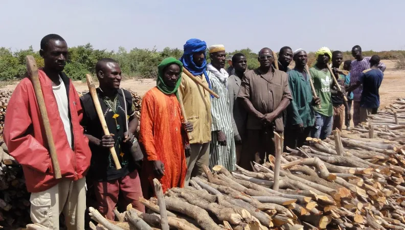 BucheronsMarchéRuralBellaréNiger
