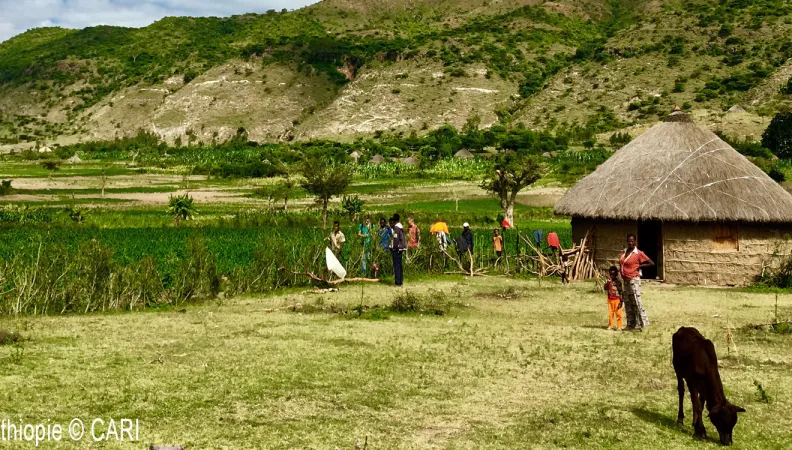 Paysage d'Ethiopie - Projet AVACLIM - CARI