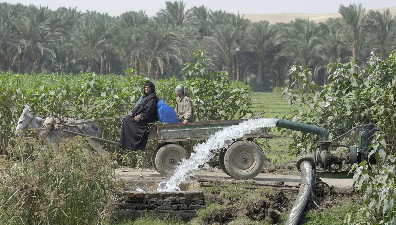 Egypte agriculture