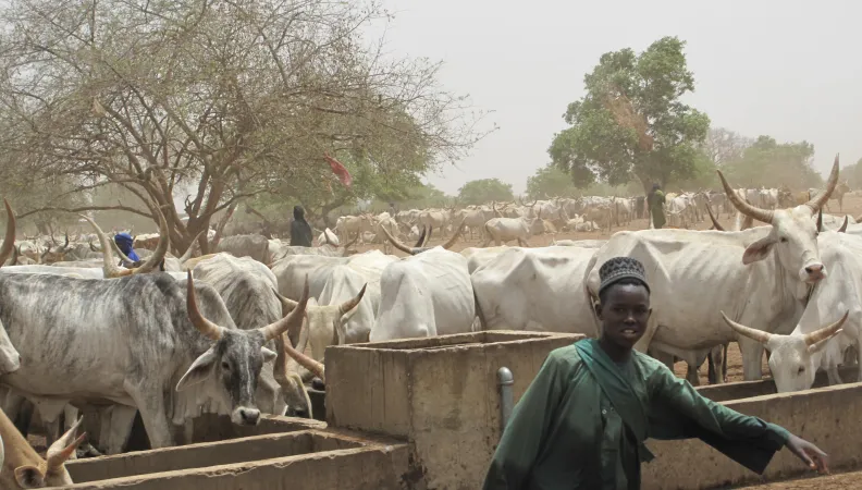 Lutte contre la désertification par l’appui au pastoralisme dans le Ferlo